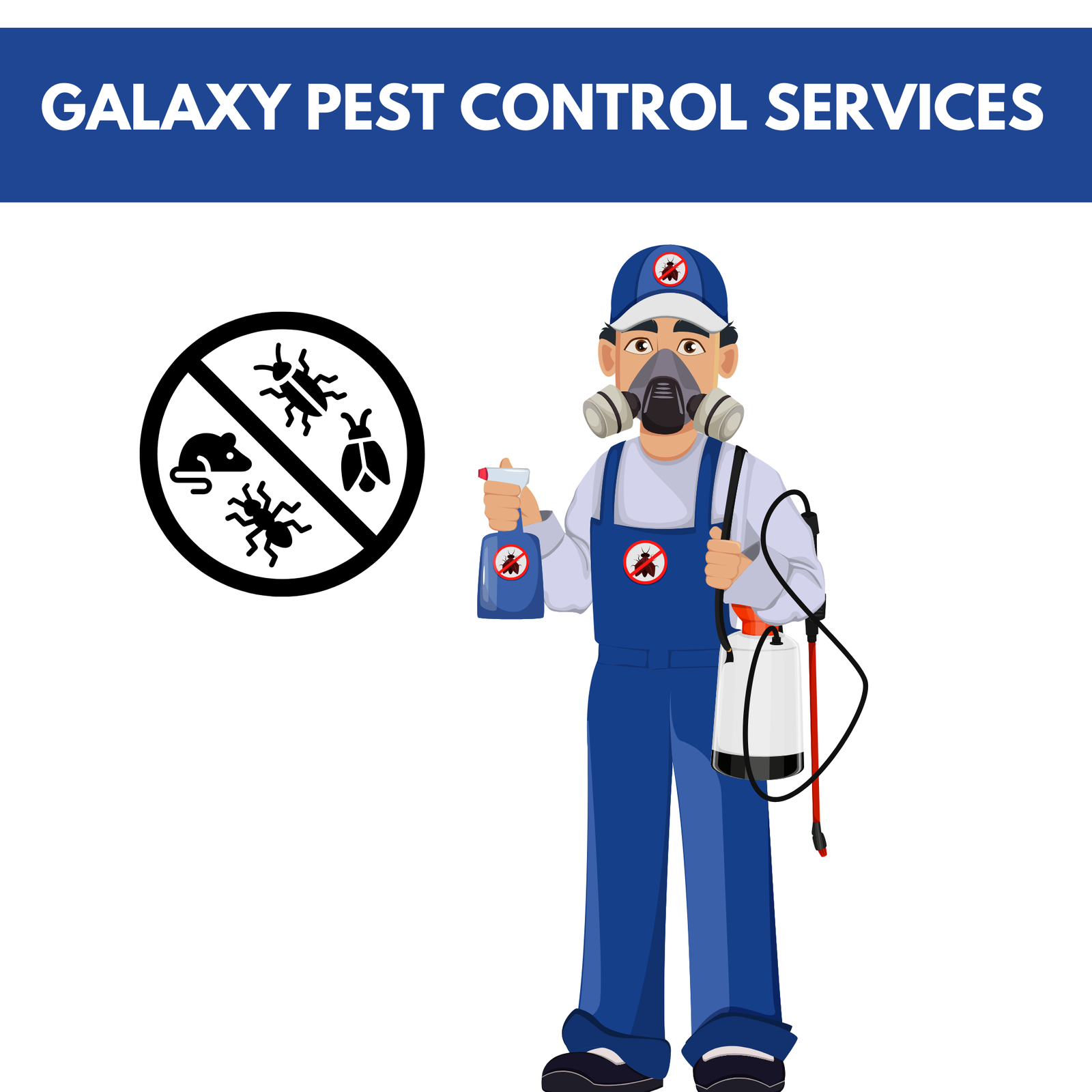 GAlaxy pest control services (2)